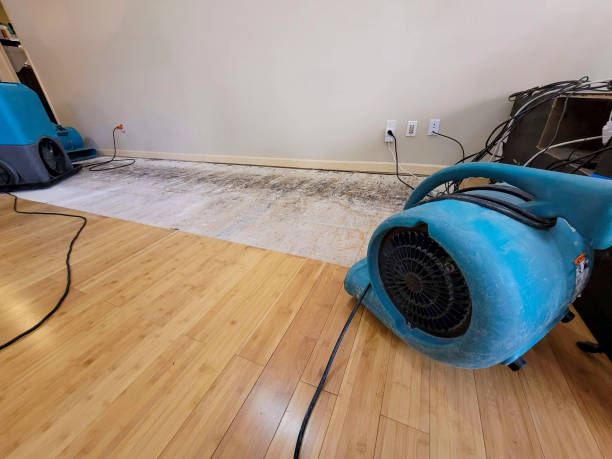 Professional Basement Flood Cleanup technician working in Salina, UT